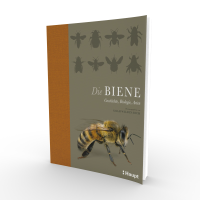 Bienenwissen