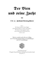 Der Bien und seine Zucht - Das Buch