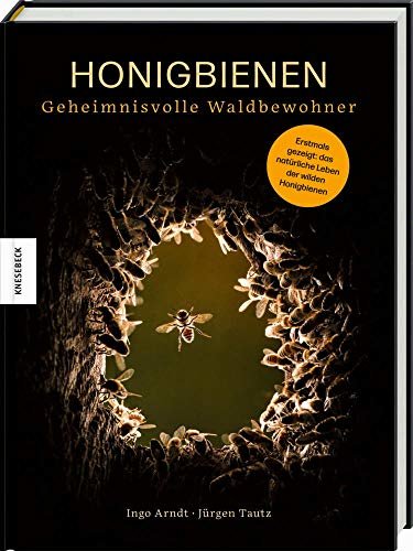 Honigbienen - gehemnisvolle Waldbewohner - Das Buch