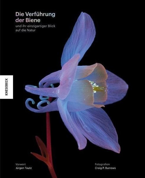 Die Verführung der Biene - Das Buch