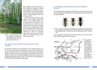 Nachhaltig Imkern mit gesunden Honigbienen - Das Buch