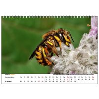 Wandkalender Bienen 2025