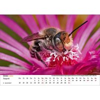 Wandkalender Bienen 2025