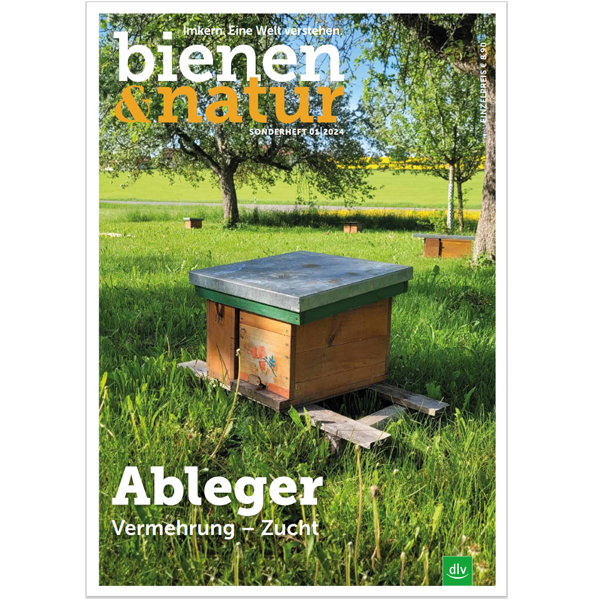 Ableger - bienen&natur Sonderheft